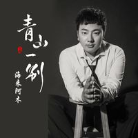 青山一别-海来阿木