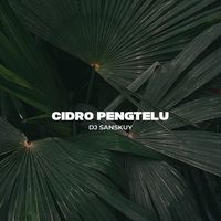 Cidro Pengtelu