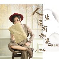 人生没有如果只有结果(DJ沈念版)
