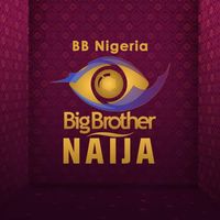 Big Brother Naija