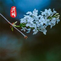 清明节安康