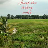 RICEFIELD AND FARM
