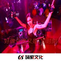 口哨狂嗨DJ(经典版)