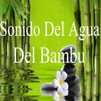 Sonido Del Agua