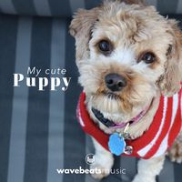 My Cute Puppy