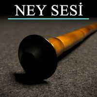 Yunus Emre