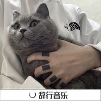 我长这么大没见过这么嚣张的人(梦幻版)