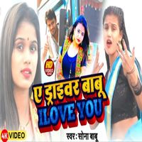 A Driver Babu I Love You - Bhojpuri Song