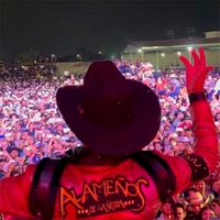 El Sinaloense - En vivo