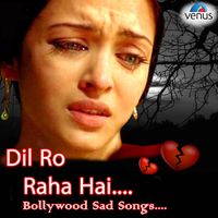 Hum To Dil Se Haare (From "Josh")