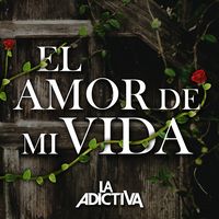 El Amor de Mi Vida