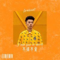 不得不爱lambert