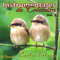 Balada para Adelina