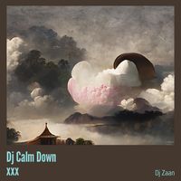 Dj Calm Down xxx