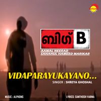 Vidaparayukayano - Big B