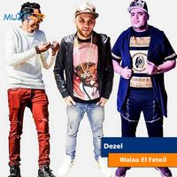Walaa El Feteil