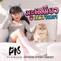 มะเหมียว (แมวขี้เหงา) - Rap