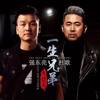 一生兄弟大过天(剪辑版)