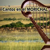 Fiesta en Elorza