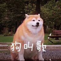 狗叫歌