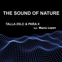 The Sound Of Nature