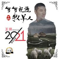 红尘情痴(重制剪辑版)-王琪