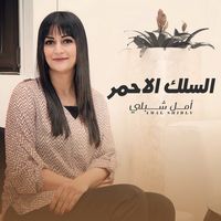 السلك الاحمر