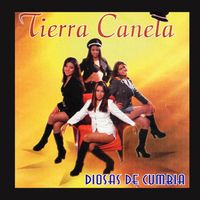 Todo Lo Tuve Contigo