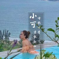 哦哦神曲帅死了(DJ版)