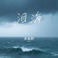 泪海(Cover 许茹芸)(剪辑版)