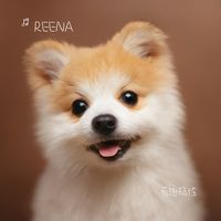 萌趣搞怪