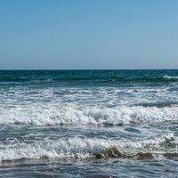Noise of the sea