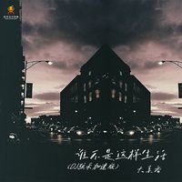 谁不是这样生活(DJ弦禾加速版)(主歌2)