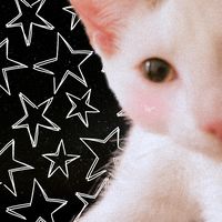 ≧◡≦
