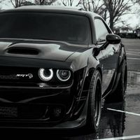 Wild Horse
