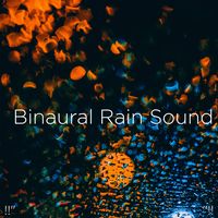 Birds And Rain