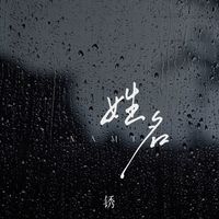 姓名(剪辑版)