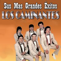 Tu Nuevo Cariñito