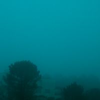 0009