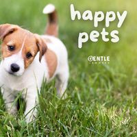 Happy Pets
