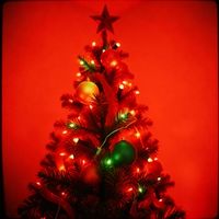 Rockin Around The Christmas Tree(Male Version)