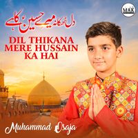Dil Thikana Mere Hussain Ka Hai