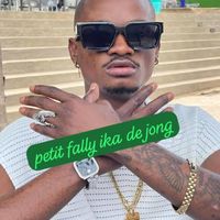 petit fally - ika de jong