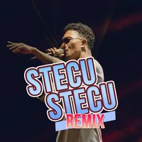 DJ Viral Tiktok Stecu Stecu