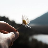 Relaxing Emotive Piano