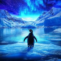 L'Amour Toujours Organ (Epic Penguin Edit)