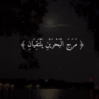 مرج البحرين يلتقيان صوت من عالم آخر
