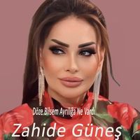 Döze Bilsem Ayrılığa Ne Vardı