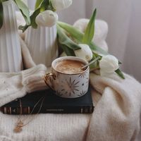 Relaxed Bossa Nova