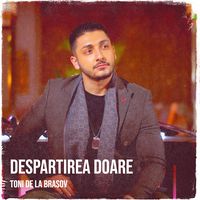 Despartirea Doare